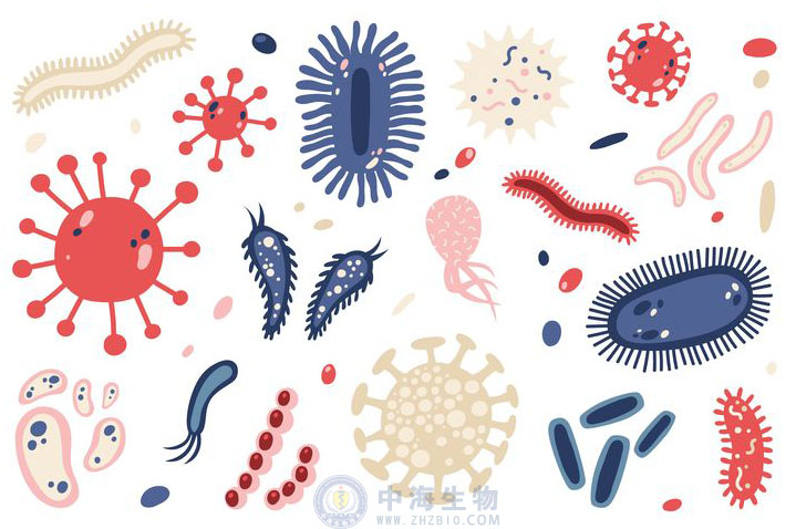 微生物是什么？哪些營養(yǎng)物質(zhì)促進(jìn)微生物生長繁殖？